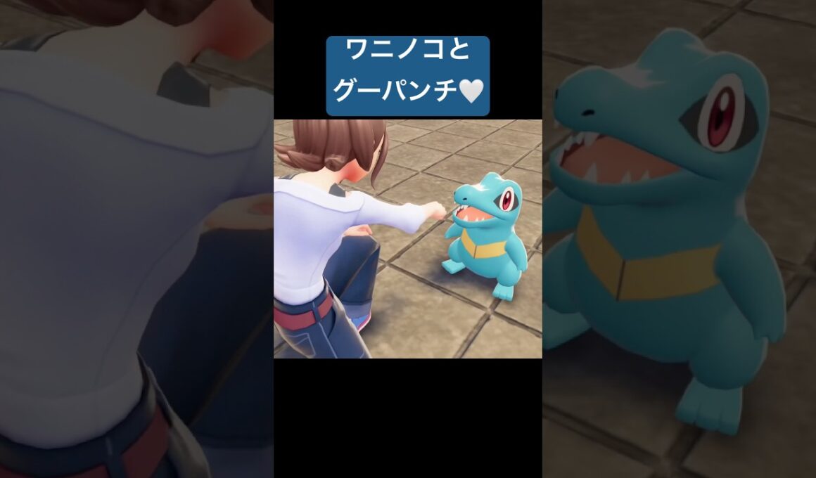 ワニノコとグーパンチ/Pokémon LEGENDS Z-A #ポケモン