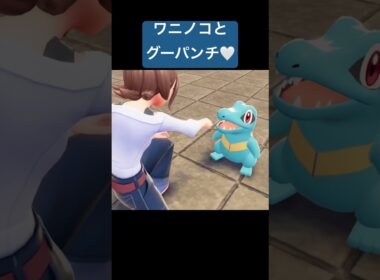 ワニノコとグーパンチ/Pokémon LEGENDS Z-A #ポケモン