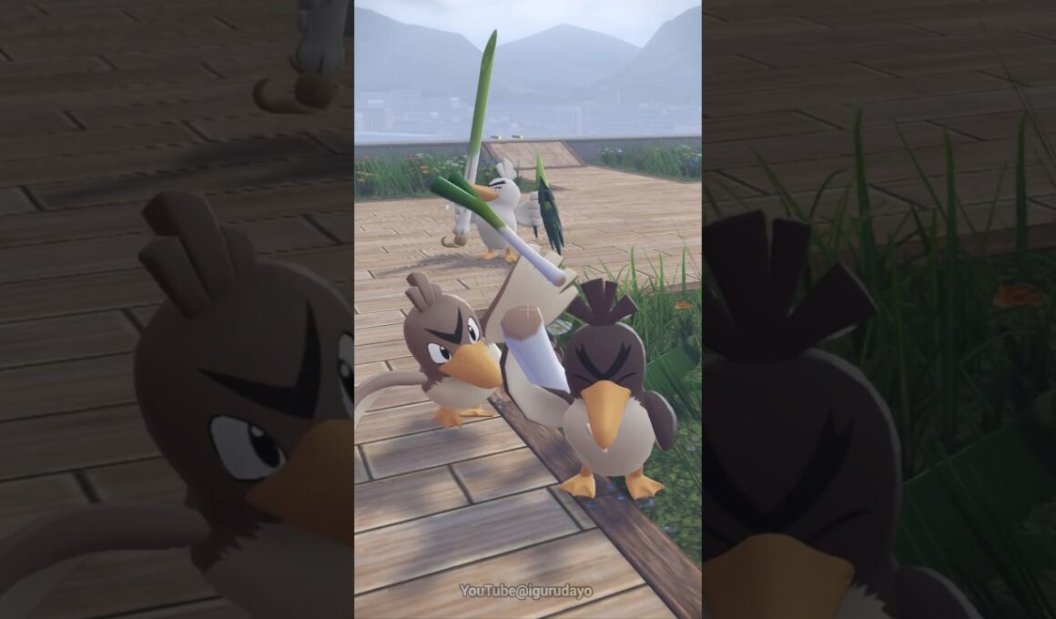 カモネギさん　#ポケモンza  Farfetch'd #pokemonlegendsza