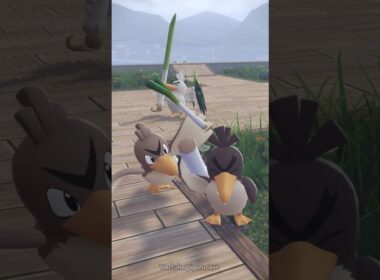 カモネギさん　#ポケモンza  Farfetch'd #pokemonlegendsza