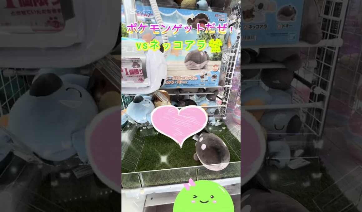ポケモンゲットだぜ！✨vsネッコアラ🐨7️⃣  #shorts