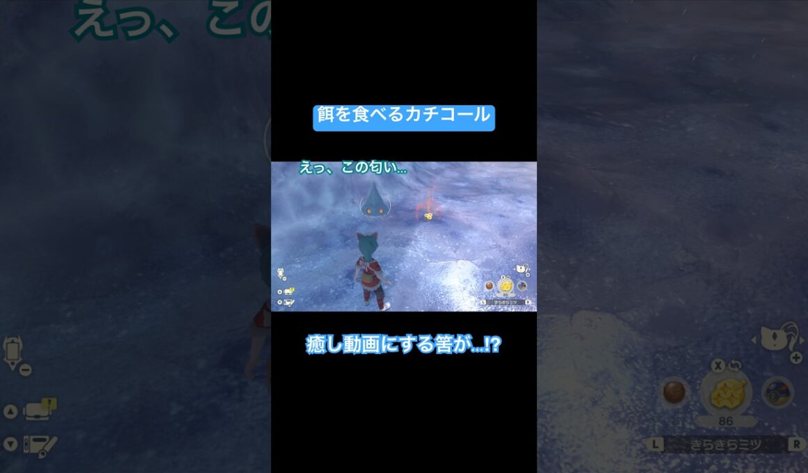 【癒し動画】可愛すぎるカチコール【レジェアル】　#shorts