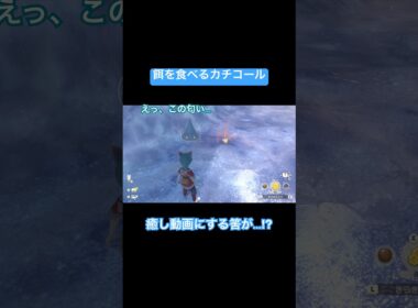 【癒し動画】可愛すぎるカチコール【レジェアル】　#shorts