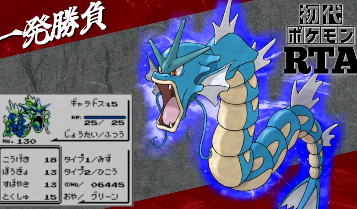 【一発勝負】初めからギャラドスlv5と挑むノーセーブ＆ノーリセットRTA！