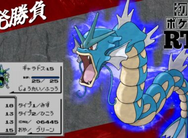 【一発勝負】初めからギャラドスlv5と挑むノーセーブ＆ノーリセットRTA！