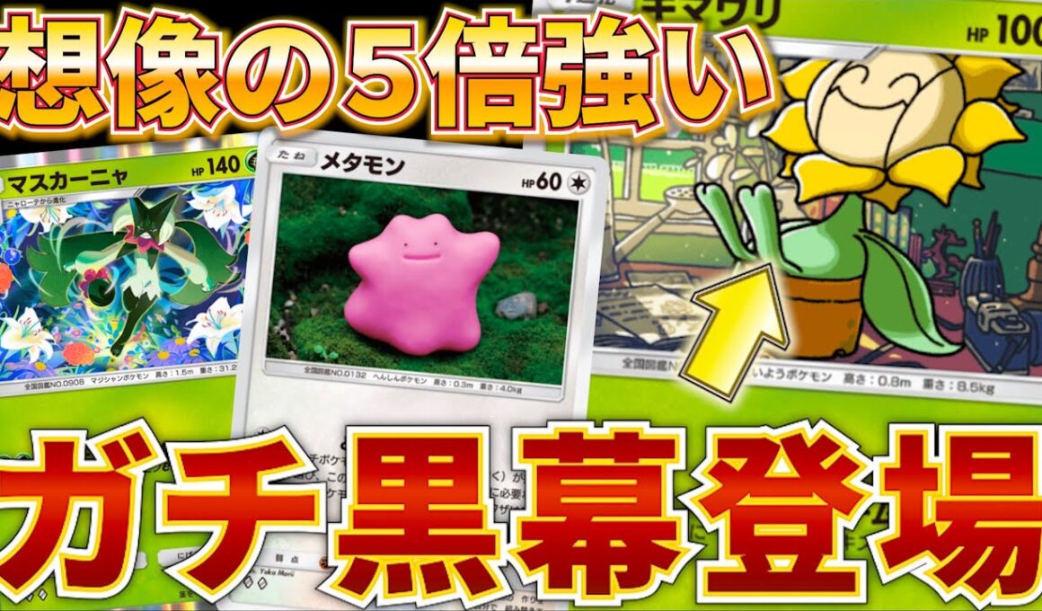 【ポケポケ】”意外な強さを発揮”キマワリとかいう化け物ポケモンを採用したデッキが天才構築すぎたw　最強デッキ　ポケモン　ポケモンカード　ランクマッチ　ポケポケ　環境最強デッキ　M-1グランプリ