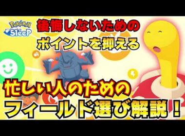 【ポケモンスリープ】忙しい人、まだ迷ってる人のためのスキルウィーク後悔しないフィールド選び解説！！ツボツボ厳選をガチった方がいい理由【5分で結論】