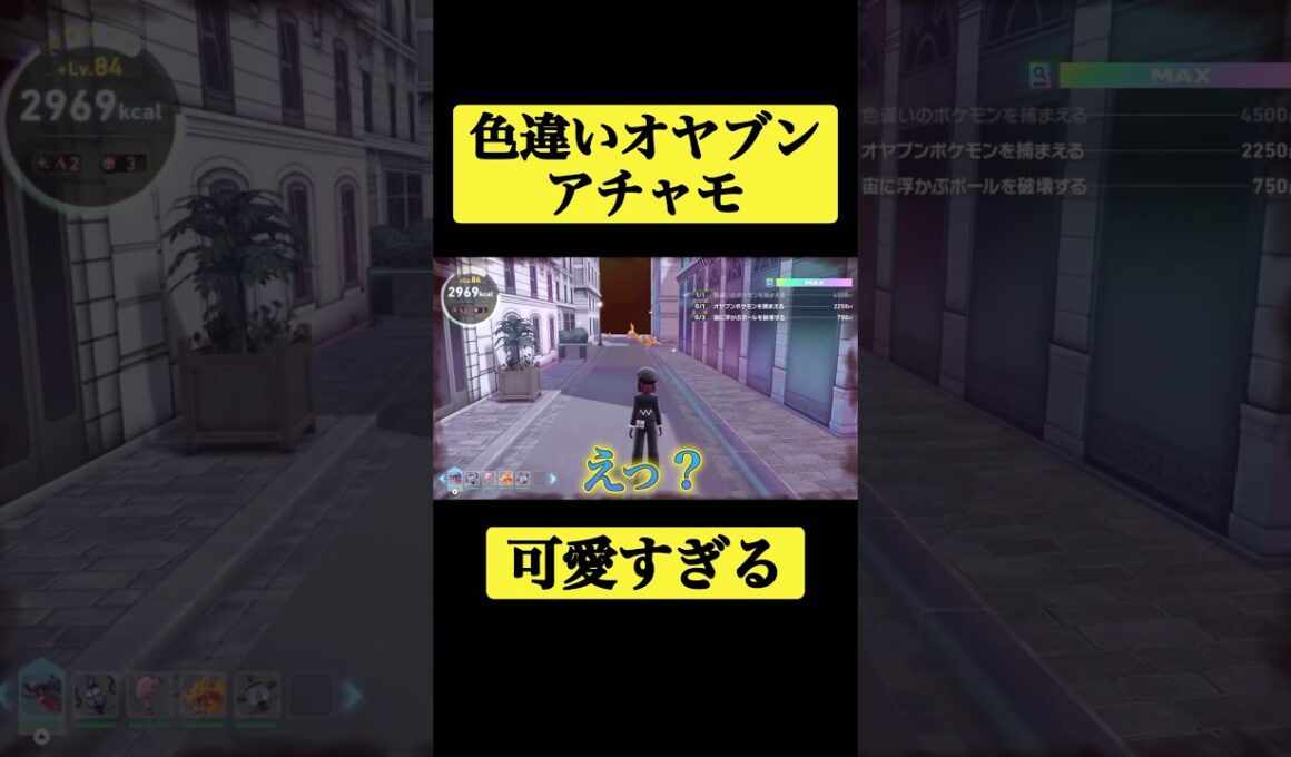 色違いオヤブンアチャモ出現！！#shorts #ポケモンza #色違い厳選
