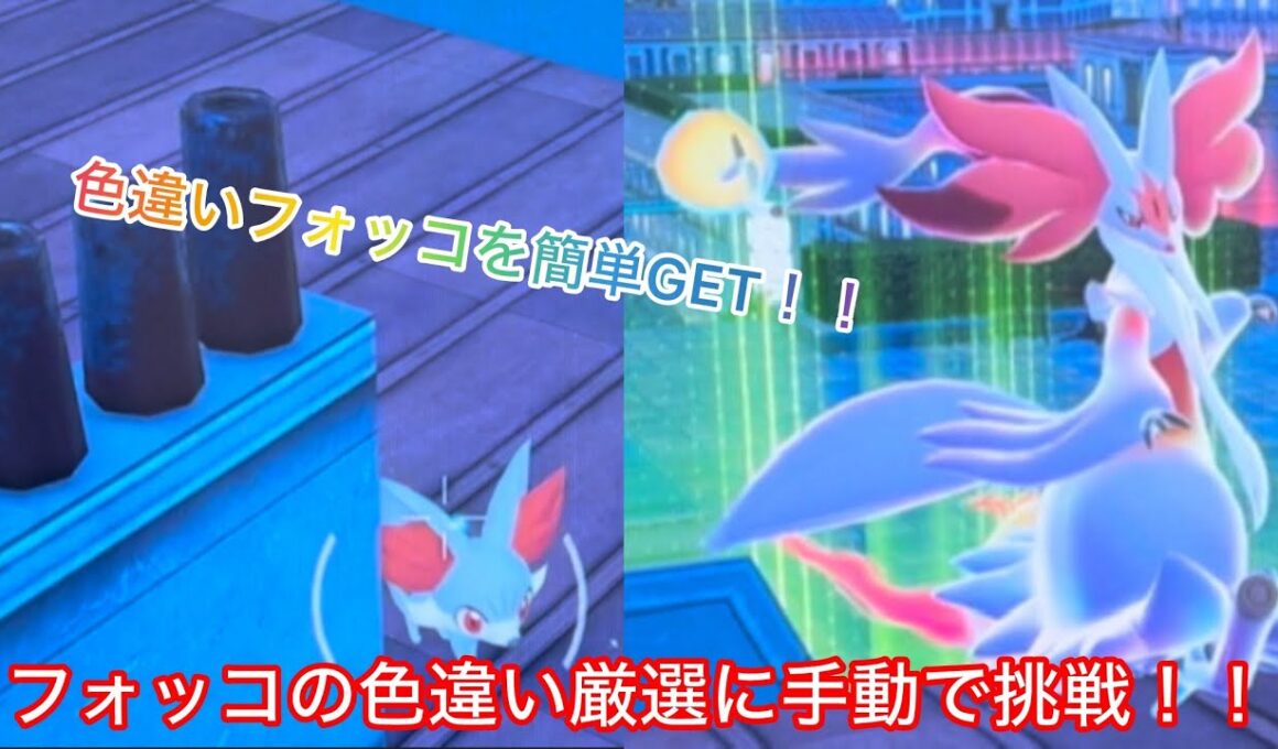 色違いフォッコの厳選に手動で挑戦！！