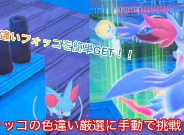 色違いフォッコの厳選に手動で挑戦！！