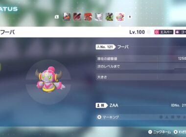 いましめられしフーパを使ってみた🍩