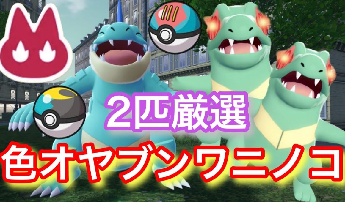 ムンボとルアボで色違いオヤブンワニノコを２匹厳選！【ポケモンレジェンズZA】