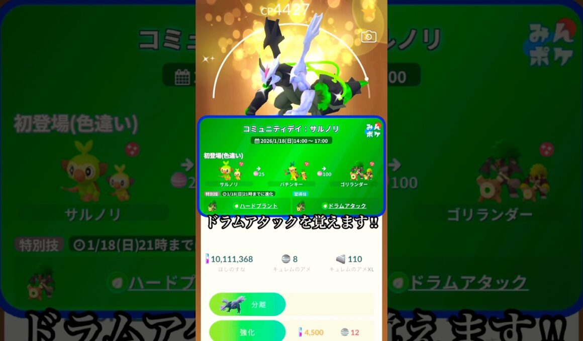 サルノリのコミュニティデイまとめ‼︎#ポケモンgo #ポケモン #pokemongo #shorts #short #こうちゃんねる