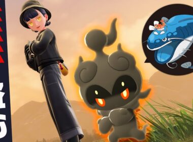 『マーシャドー』の専用技「シャドースチール」で合体ヘイラッシャの能力上昇盗むの楽しすぎるー！！！！！【ポケモンZ-A】