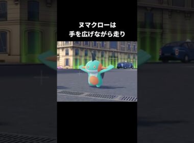 ラグラージたちの走り方【ポケモンZA】#ヌマクロー#ミズゴロウ