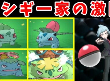 『フシギバナ一族（Lv70）』で強化ホウエンリーグのダイゴに勝てるのか！？【ゆっくり実況】【ポケモンORAS】