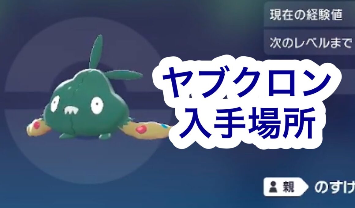 【ポケモンZA】ヤブクロン入手場所