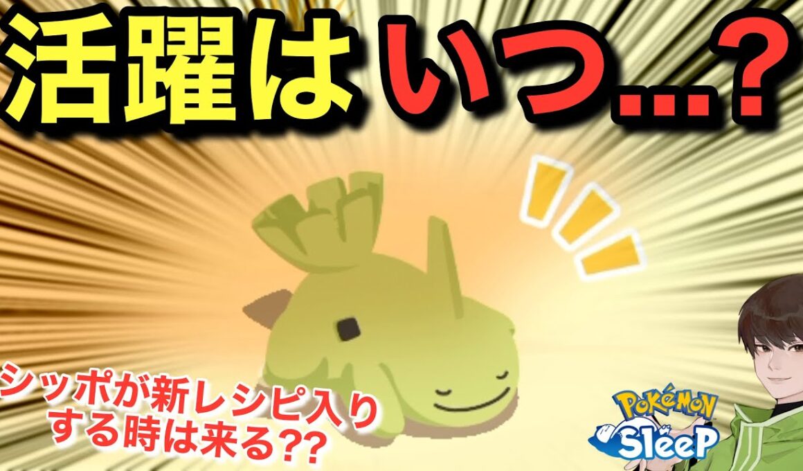 生姜も後回しで良さそう(でもヨーギラスは欲しい)【ポケモンスリープ】無課金リサーチ919/904日目