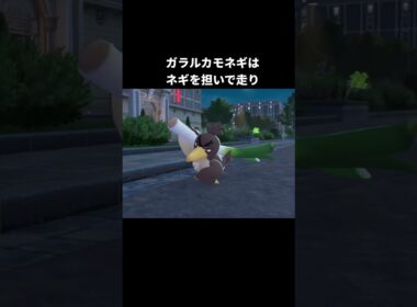 カモネギたちの走り方の違い【ポケモンZA】