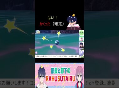 【ポケモンSV】アシマリ色違い証付き#ポケモンsv #pokemon #切り抜き #ポケモン #藍の円盤