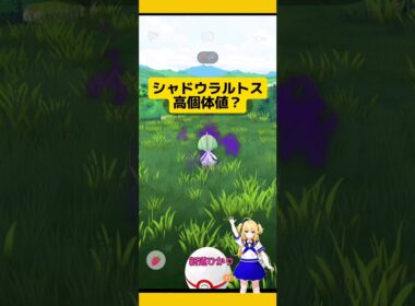 【ポケモンGO】かなり高個体値？シャドウラルトスを捕まえた結果！#ポケモンgo #pokemongo #シャドウポケモン #ラルトス