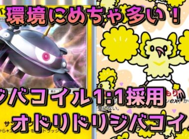 オドリドリジバコイル！チルゲコに強く、環境で大暴れ中！！