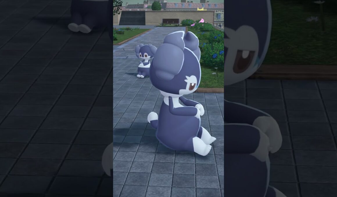 イエッサン🎶　#ポケモンza #pokemonlegendsza