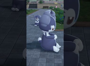 イエッサン🎶　#ポケモンza #pokemonlegendsza