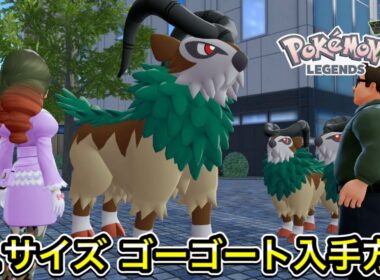 XLサイズのゴーゴートの入手方法を教えます！