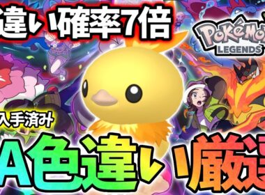 アチャモ色違い3体捕まるまで終われま【レジェンズZA】