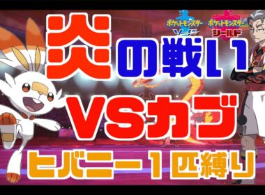 【ヒバニー1匹縛り】VSカブ戦‼︎ ヒバニーの本気の炎を見せたるわ‼︎ 【ポケモン剣盾】