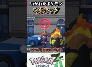 とあるミルホッグが異質過ぎる件【ポケモンZA】#ゲーム実況 #こっぺちゃん #shorts