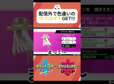 【ポケモン剣盾】また配信外！ダイマックスアドベンチャーで色違いのウツロイドGET！！#ポケモン #ポケモンsv #ポケモン剣盾 #ダイアド #pokemon #ポケモン色違い #色違い厳選