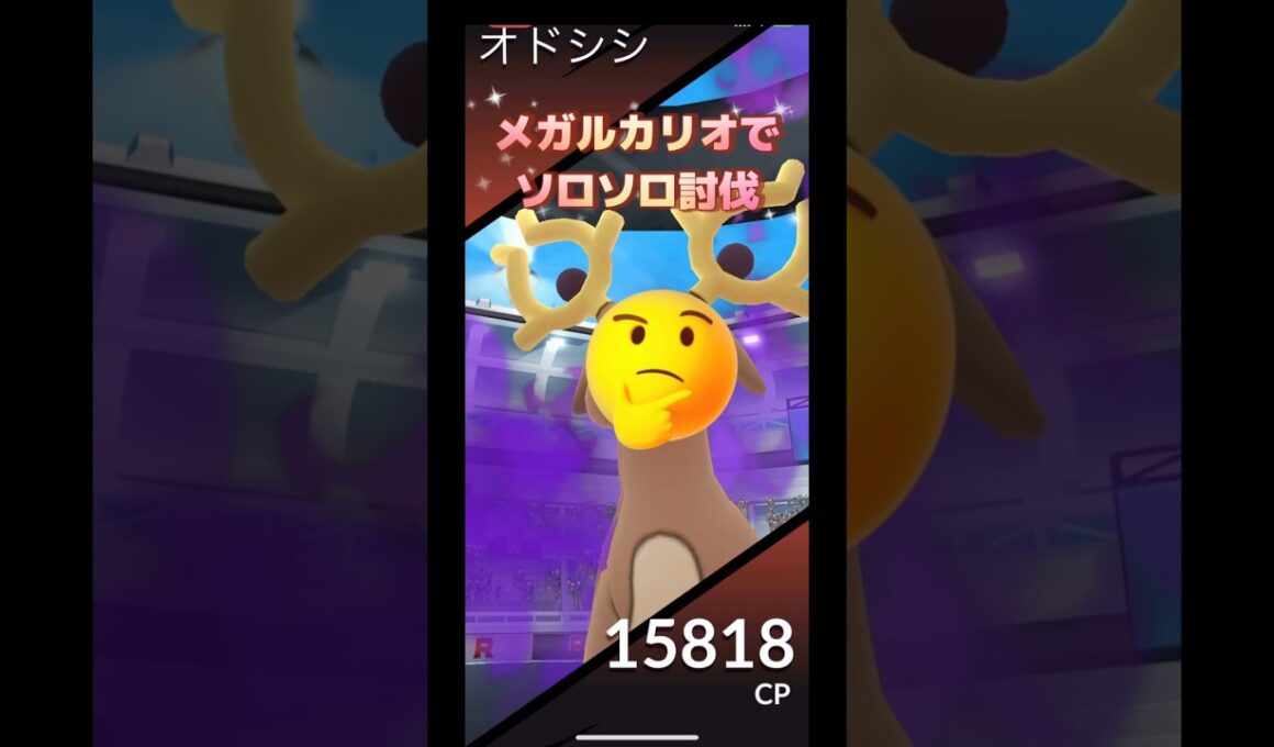 しゃどうオドシシv🆚メガルカリオ