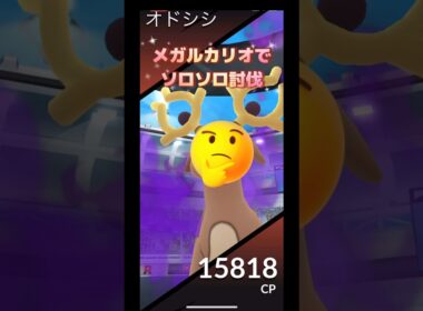 しゃどうオドシシv🆚メガルカリオ