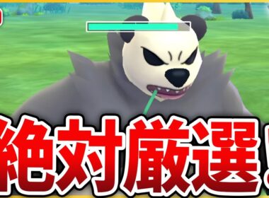 【スーパーリーグ】貴重な厳選チャンス！今野生沸きしているヤンチャムの進化系「ゴロンダ」を使っていく！