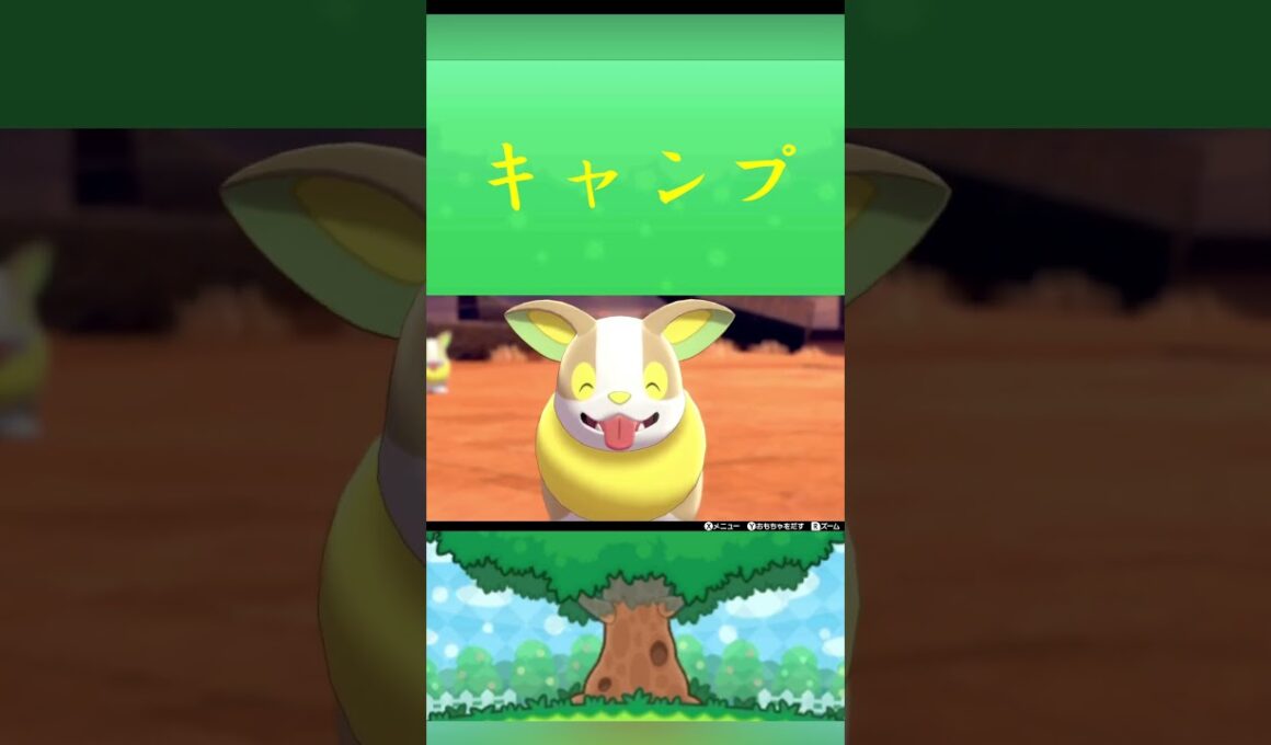 ポケモン ワンパチ キャンプ ポケリフレ ポケパルレ #ポケモン #Pokemon  #nintendoswitch  #ポケモンsv  #ふれあい #キャンプ  #ピクニック #ポケモン剣盾