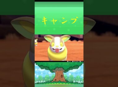 ポケモン ワンパチ キャンプ ポケリフレ ポケパルレ #ポケモン #Pokemon  #nintendoswitch  #ポケモンsv  #ふれあい #キャンプ  #ピクニック #ポケモン剣盾