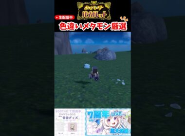#ポケモンsv色違い メタモン厳選