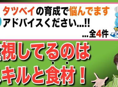 タツベイの育成相談とばんのうアメについて答える無課金・初期勢【ポケモンスリープ】【ボーマンダ】
