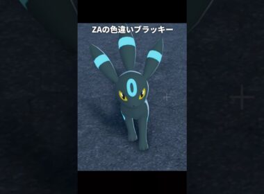 【ポケモン】ポケポケのブラッキーが最高に素敵な理由【ポケモンレジェンズZA/ポケポケ】