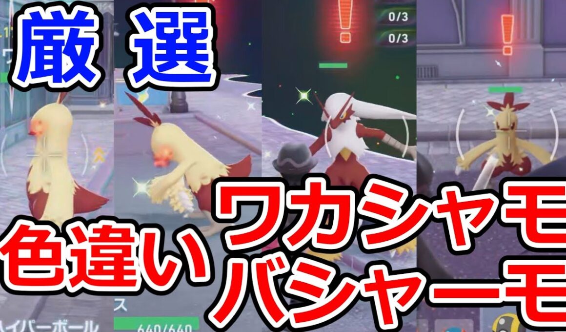 【ポケモンZA】色違いオヤブンワカシャモ・色違いバシャーモを厳選してみた結果!? #ポケモンZA #ポケモンレジェンズZA #色違い #ポケモン #switch2