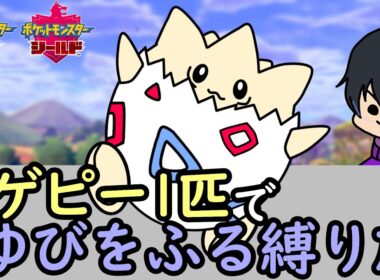 《ポケモン剣盾》トゲピー1匹ゆびをふる縛り+α旅Part29