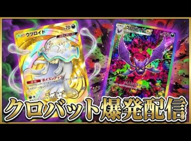 クロバットの答えを探す朝 メガランクマ最強結論爆発配信