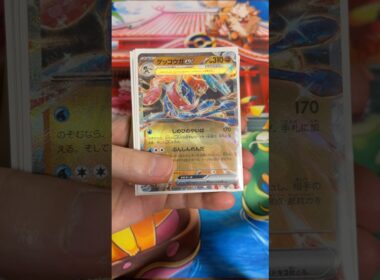 【ジュゴンでエネ加速！】ゲッコウガexデッキ組んでみた！ #ポケカ #ポケカ再販最新情報 #ポケモンカード #ポケモン #ポケカ開封 #pokemon #pokemoncards #開封動画