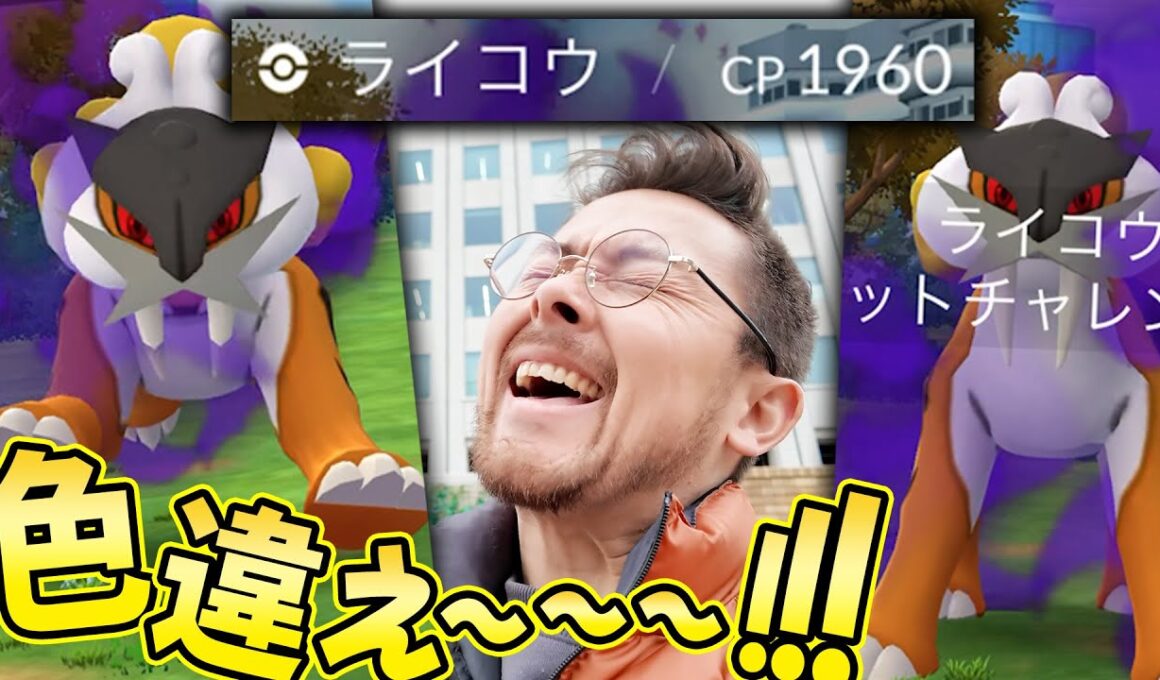 シャドウライコウ色違い100来い！！お！！リトレーン100色違いチャンス！？【ポケモンGO】