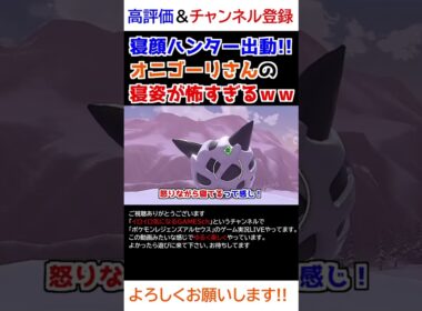 オニゴーリさんの「寝姿」が怖すぎるww【Pokémon LEGENDS アルセウス】【寝顔ハンター】