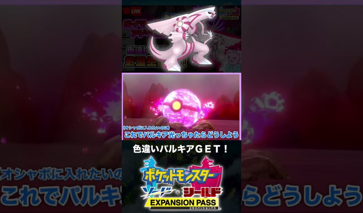 色違いパルキアと邂逅した男【ポケモン剣盾】