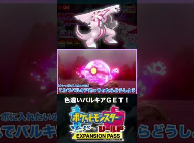 色違いパルキアと邂逅した男【ポケモン剣盾】
