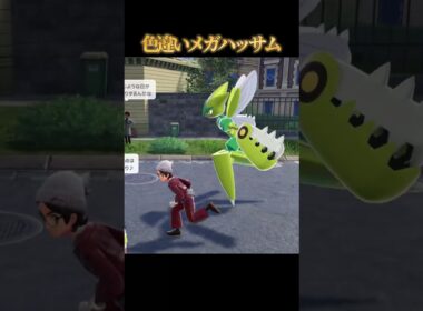 【肌質◎】色違いメガハッサムが好きなのって私だけですか？【ポケモンZA】#shorts #ポケモン #つっつー #pokemon